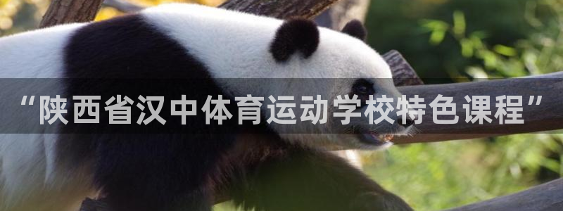 JJB竞技宝官网下载平台是正规平台吗知乎：“陕西省汉