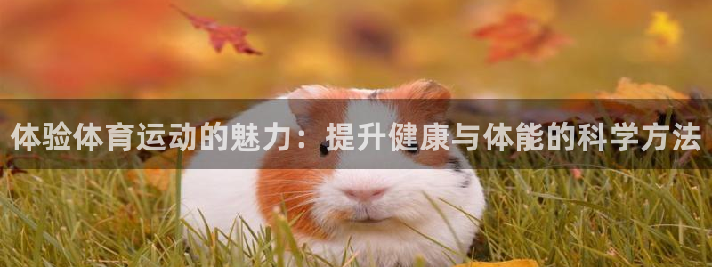 注册JJB竞技宝官方正版app：体验体育运动的魅力：提升健康