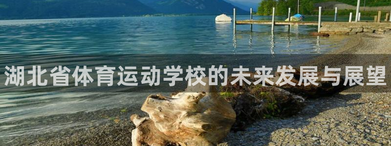 JJB竞技宝官网下载平台注册流程视频：湖北省体育运动