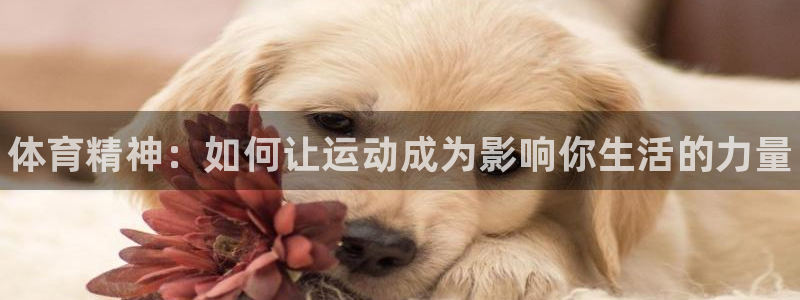 JJB竞技宝官网下载招商电话号码是多少啊：体育精神：