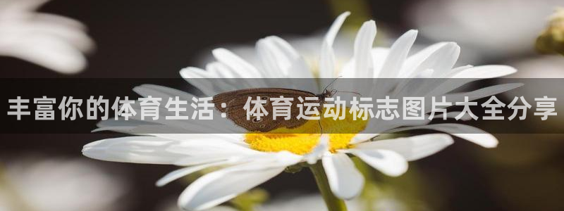 JJB竞技宝官网下载平台注册要钱吗安全吗：丰富你的体
