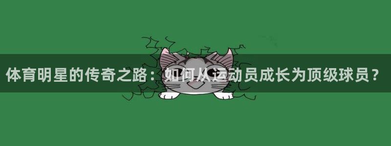 JJB竞技宝官网下载平台注册流程视频：体育明星的传奇之路：如