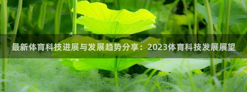 JJB竞技宝官方正版app官方
