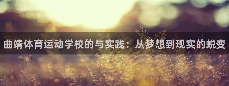 JJB竞技宝官网下载平台注册要钱吗安全吗：曲靖体育运