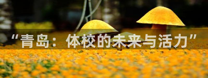 JJB竞技宝官网下载：“青岛：体校的未来与活力”