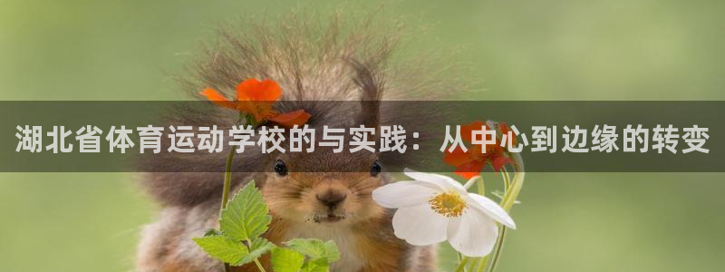 JJB竞技宝官网下载招商电话号码查询是多少：湖北省体