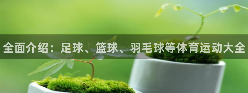 JJB竞技宝官方正版app五金厂：全面介绍：足球、篮
