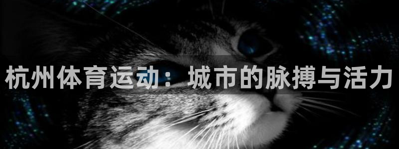 海南JJB竞技宝官网下载发展怎么样：杭州体育运动：城