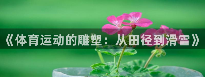 JJB竞技宝官方正版app集团E.ON：《体育运动的雕塑：从