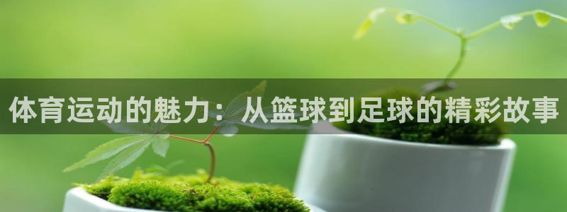 JJB竞技宝官网下载联系电话：体育运动的魅力：从篮球到足球的