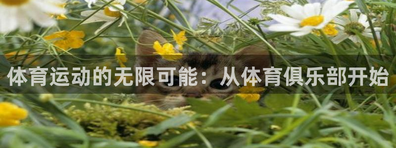JJB竞技宝官网下载平台：体育运动的无限可能：从体育俱乐部开