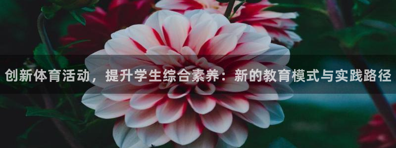 JJB竞技宝官方正版app科技：创新体育活动，提升学