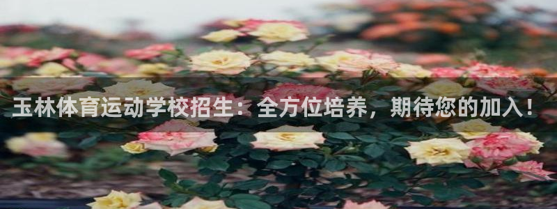 JJB竞技宝官网下载招商电话是多少号码