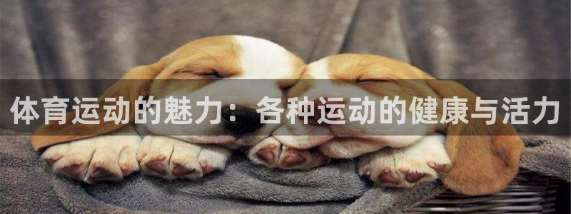 JJB竞技宝官网下载招商电话是多少：体育运动的魅力：各种运动