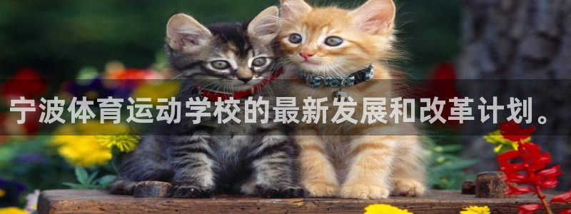JJB竞技宝官网下载招商电话地址