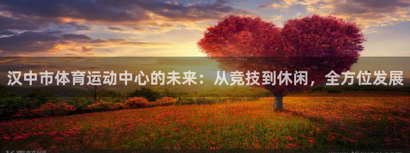 JJB竞技宝官方正版app娱乐下载：汉中市体育运动中心的未来