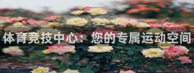 JJB竞技宝官方正版app集团E.ON：体育竞技中心：您的专