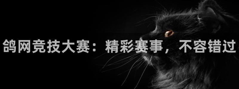 下载龙门体育直播
