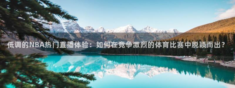 龙门直播nba免费直播在线观看：低调的NBA热门直播体验：如何在竞争激烈的体育比赛中脱颖而出？